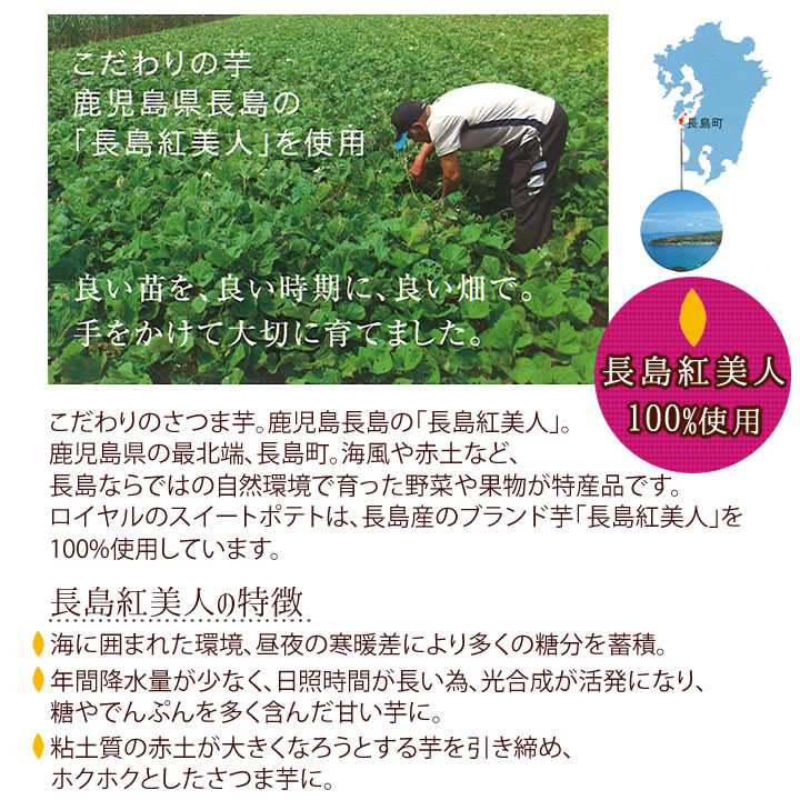 ロイヤルスイートポテト(9個入)