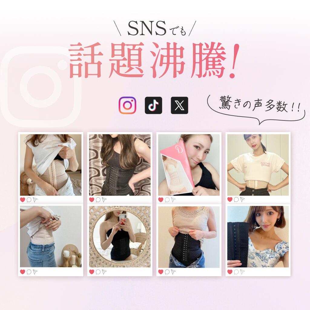 公式】プリンセススリム 単品 コルセット ウエストニッパー 補正下着 
