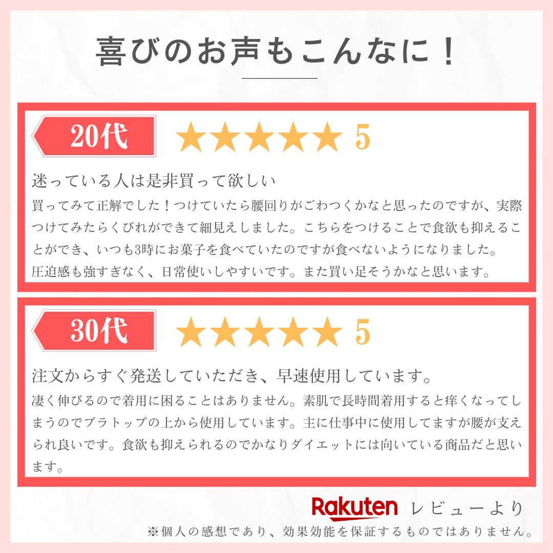 公式】 プリンセススリム 1枚 コルセット ウエストニッパー 補正下着