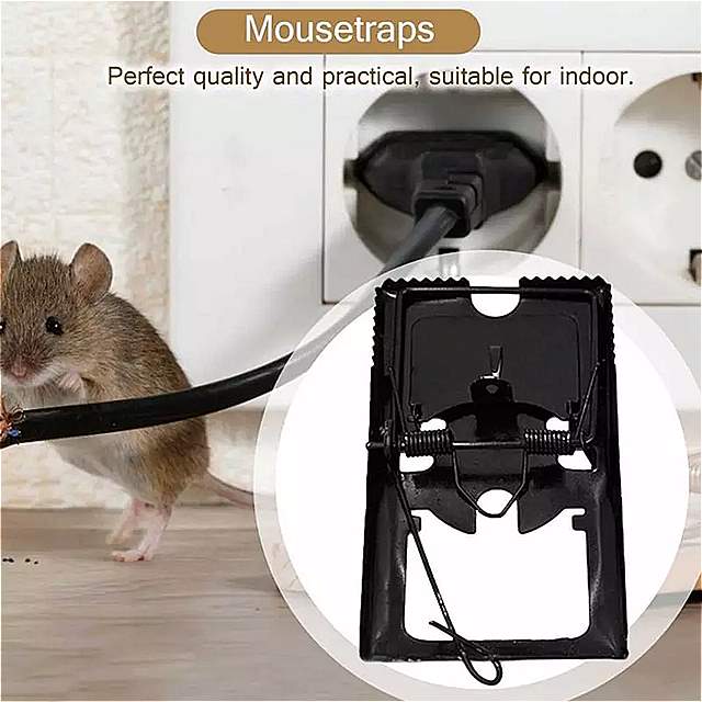 最大80％オフ！ ねずみとり ネズミ捕り ネズミ捕獲器 マウストラップ ネズミ捕り機 無毒無害 設置簡単 再利用可能 10個セット 新生活応援  通販