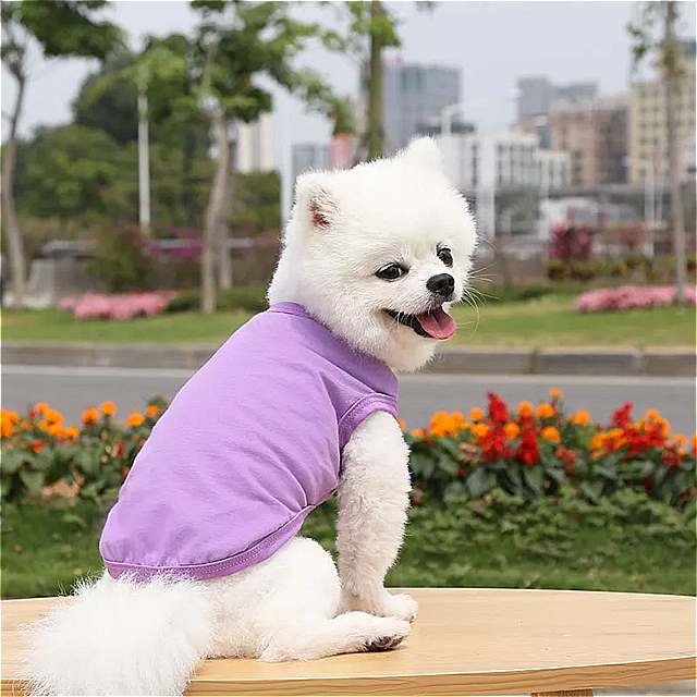 ●日本正規品● 最大78％オフ 犬 用のプレーン コットン tシャツ 夏の ペット 服 中型および中型 用 用品 猫 の ベスト XS-3XL applymakeup.com applymakeup.com