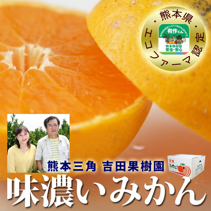 楽天市場 くだもの みかん はるか でこぽん 2月中旬 4月 岡山産直工房