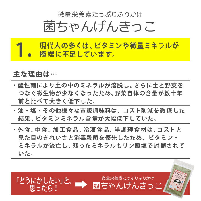 腸活 野菜ふりかけ 菌ちゃんげんきっこ 吸収率強化タイプ 微量栄養素たっぷりふりかけ 菌ちゃん元気っこ 海のミネラルと野菜の菌ちゃんパワー ミネラル  発酵力 食材 凝縮 腸内環境