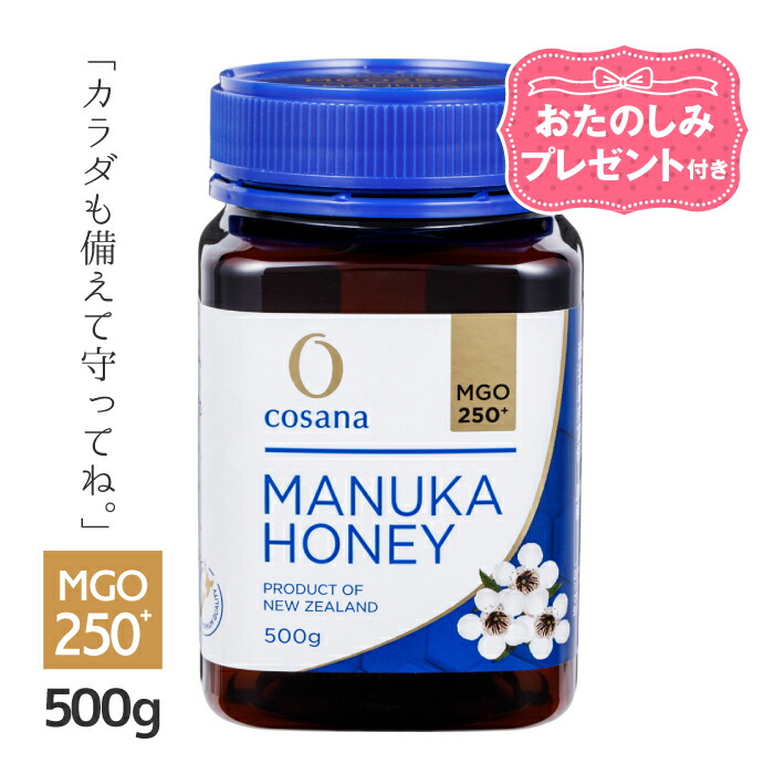 マヌカハニーMGO 250 500g コサナ はちみつ ハチミツ 蜂蜜 ニュージーランド マヌカハニー250 上等