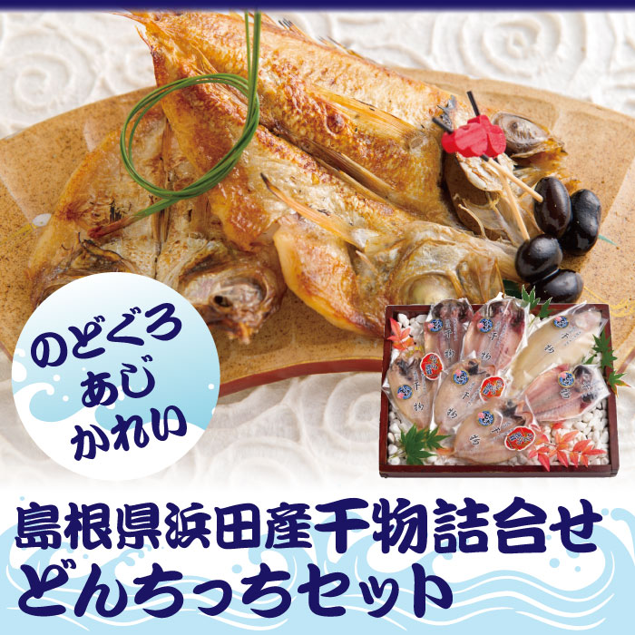 浜田産干物詰合せどんちっちセット^送料無料17-07-05