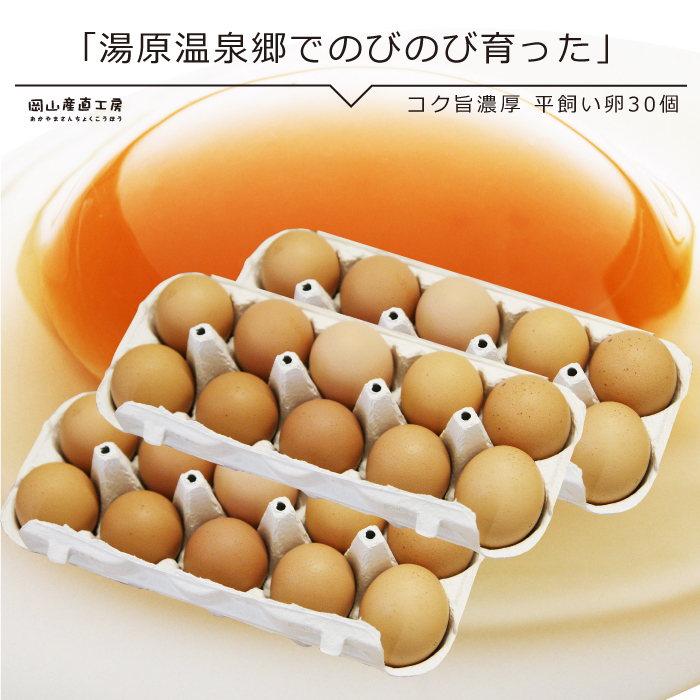 送料無料 たまご 玉子 卵 無選別 こだわり卵 たまごごはんにぴったり  無精卵 平飼い たまご コク旨濃厚　平飼い卵30個入　10個包装X3
