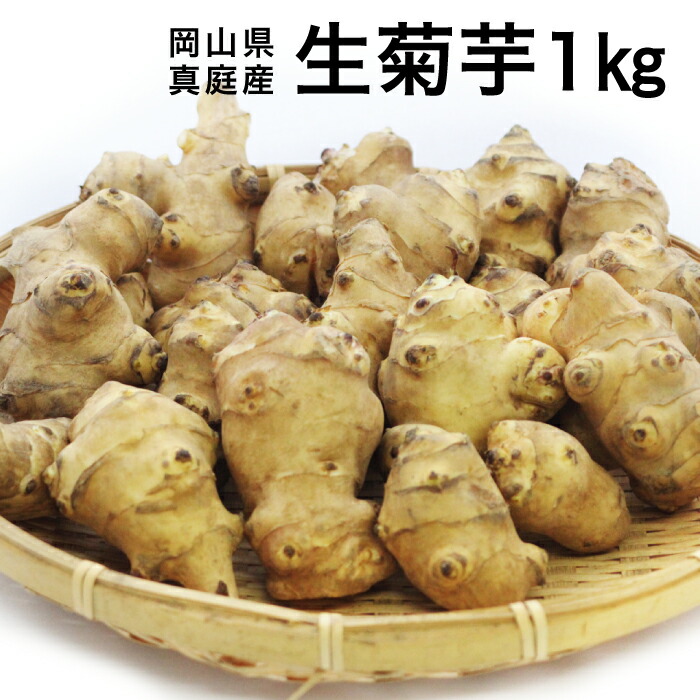 楽天市場】【3/4(水) 20時開始 1,880円→1,690円】 【11月上旬以降発送