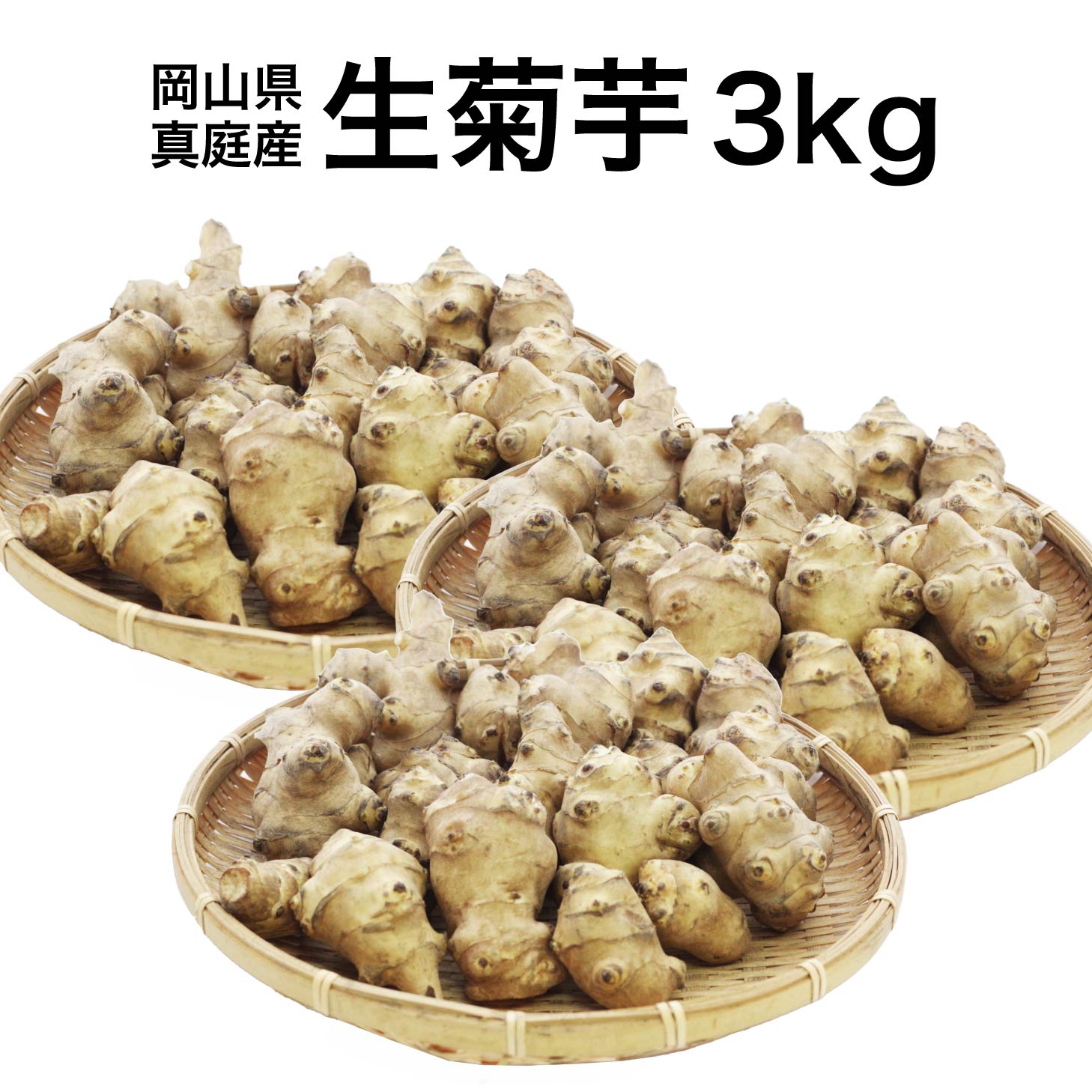 楽天市場】【楽天スーパーSALE 3,180円→2,860円】 菊芋 生菊芋 きく