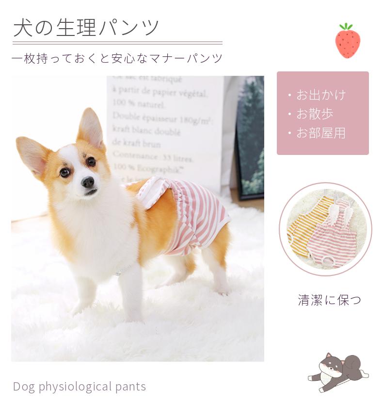 国内正規総代理店アイテム ブルーl ヒート用 パンツ おむつ 生理 マナーパンツ サニタリー 犬用 ペット Www Anavara Com