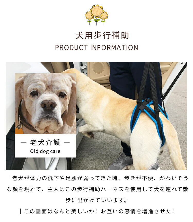 数量限定 高齢犬 老犬 介護用品 ペット Xl 胴周り74 90cm 介護用 ウォークアバウト エアリフト歩行補助ハーネス 後足用 わんケア 蒸れない あす楽 後脚 後肢 犬用介護用品 ペットグッズ 介護用品