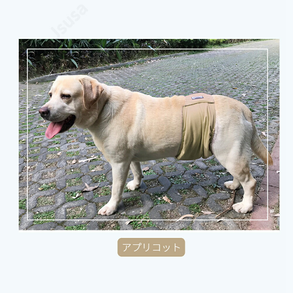 XS S M L 【大放出セール】 XL XXL小中大型犬ペットグッズペット ドッグ 大型犬用 おしっこ失敗 ペットグッズ ネコポス送料無料 小型中型大型犬  犬 トイレ チェック マナーパンツ 犬の服 介護 しつけ マナーバンド オムツカバー マーキング防止 ドッグウェア 服 ...