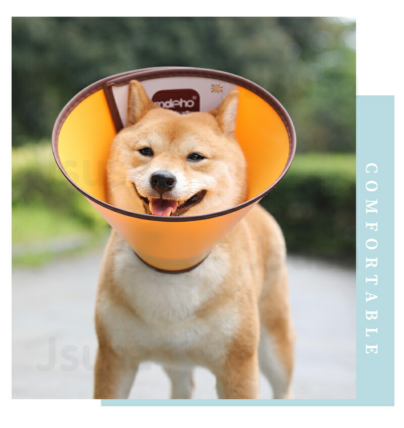 傷口やけがの舐め防止 柔らか素材のカラーで首痛くない ケガや皮膚病にかかった時の傷なめ防止 噛み防止に役立ちます ネコポス送料無料 高品質 各種サイズ犬用 猫用ペット用ソフトエリザベスカラー 怪我 術後の傷口保護 手術 在庫限り 首まり柔らかい素材 簡単装着 犬