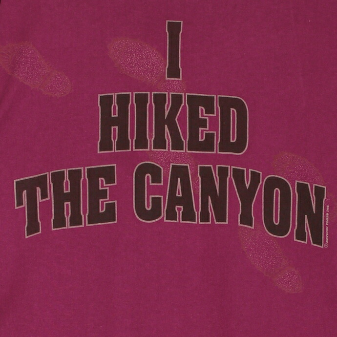 楽天市場 フルーツ オブ ザ ルーム Fruits Of The Loom グランドキャニオン プリント 半袖tシャツ メンズxlサイズ ワインレッド アメリカ製 ユーズド 古着 T0625 119 神戸パティーナ
