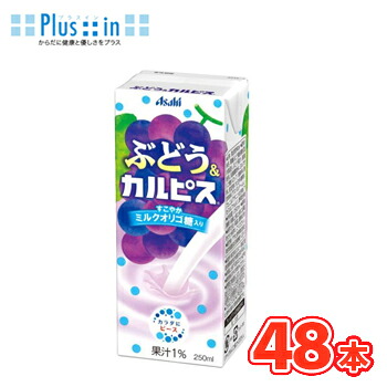 エルビー ぶどう＆カルピス　【250ml】×24本/2ケース 〔乳酸菌飲料　calpis　かるぴす　カルピス　ブドウ　ぶどう　葡萄　グレープ　紙パック〕