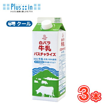 秦森康屯　白バラ basucharaizu900_3.jpg