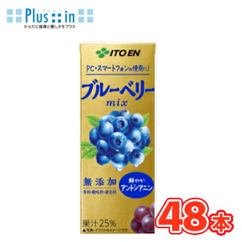 伊藤園 ブルーベリーmix 紙パック 200ml×24本入/2ケース〔フルーツジュース　果実飲料　ブルーベリーミックス　果汁　果実〕