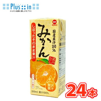 2025年新作入荷 国産果汁100% 楽天市場】毎日牛乳 ふじ 紙パック 24本入 200ml× 野菜ジュース・フルーツジュース