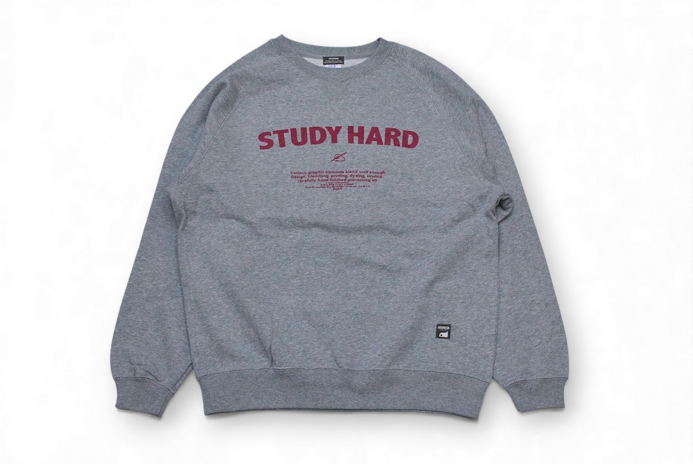 ASCENSION × GOODSEEKER W名まえ ラグランスリーブクルースウェット STUDY HARD Raglan sleeve crew neck sweat ラグラン捩り 調教師 ヴィンテージライク 流汗 アメカジ 御祭り 貨物輸送無料 as-1271
