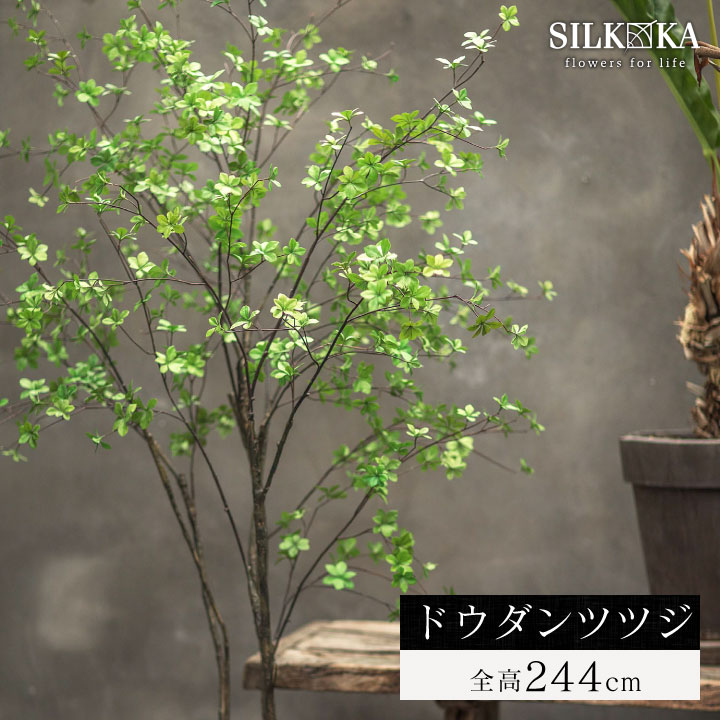 大型 フェイクグリーン 「 ドウダンツツジ 244cm シルカ（Silk-ka）」 おしゃれ リアル 人工観葉植物 樹木 インテリア グリーン 灯台躑躅 どうだんつつじ 造花 観葉 植物 大型観葉植物 プランツ フェイク 人工 大きい 大きめ 室内 会社 人工植物 玄関 リビング 入口 上品