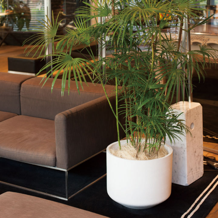 おしゃれ 大型 鉢カバー ポプナニ Popnani パトン L 直径50cm 高さ44cm 容量71l ホワイト Aplusfinance Blog Com