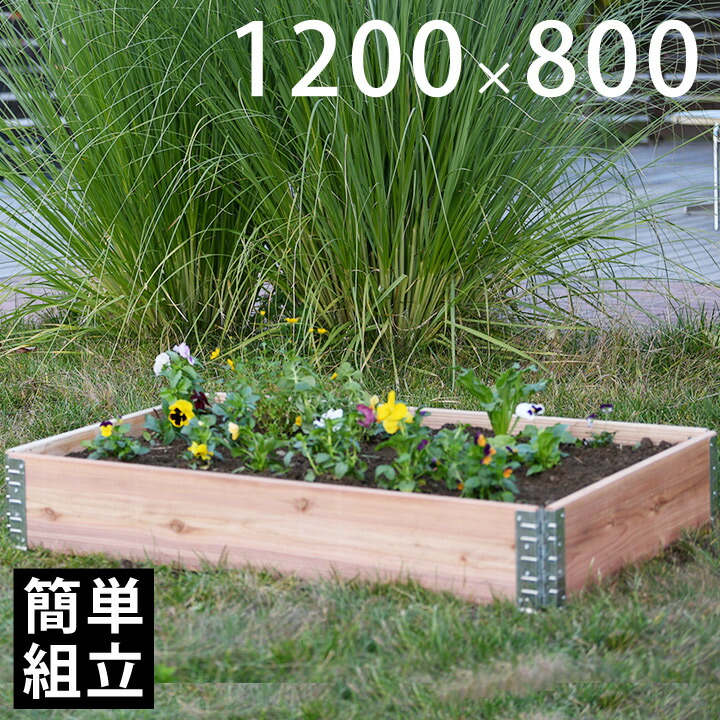 明治～大正アメリカ製寄せ木達磨掛け 達磨木型 江戸 明治期 | 古物屋次元 オンラインショップ
