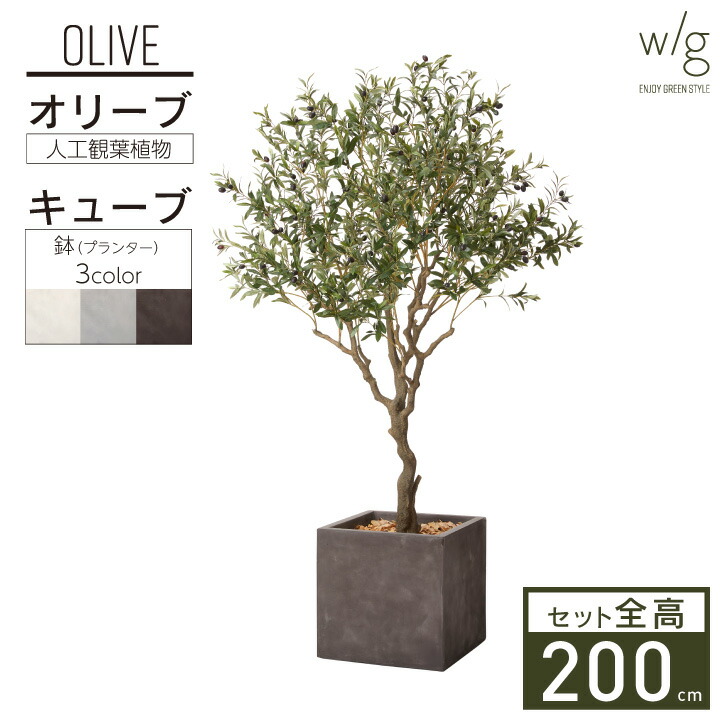 お祝い 簡単組立花 ガーデン Diy 人工観葉植物 リアル 新居祝い 新築祝い 事務所 転居祝い 開店祝い 引越し祝い ギフト 人工樹木 鉢セット おしゃれ 開業祝い 移転 プレゼント 贈り物 屋内 室内 鉢 フェイクグリーン 造花 平和の木 ナチュラル 人工樹木 鉢セット W G お祝い 簡単組立花 ガーデン Diy 人工観葉植物 リアル 新居祝い 新築祝い 事務所 転居祝い 開店祝い 引越し祝い ギフト 人工樹木 鉢セット おしゃれ 開業祝い 移転 プレゼント 贈り物 屋内 室内 鉢 フェイクグリーン 造花 平和の木 ナチュラル 人工樹木 鉢セット W G