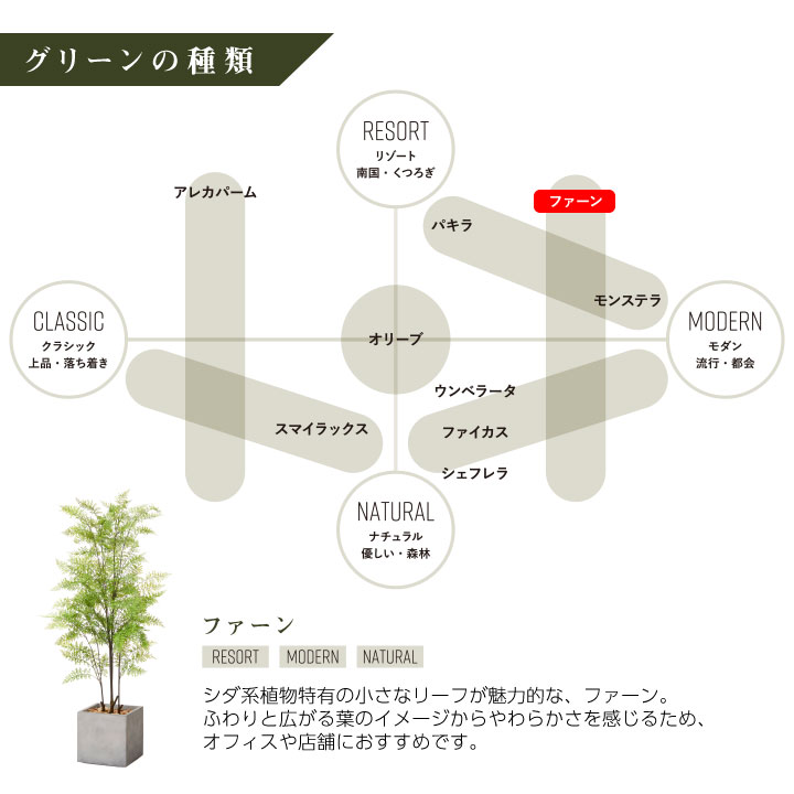 フェイクグリーン鉢セット 大型 「ファーン×Cube W G」 高さ155cm 人工