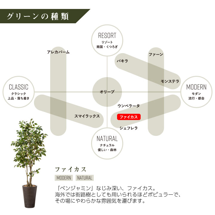 フェイクグリーン鉢セット 大型「ファイカス×Tall Round g」高さ190cm