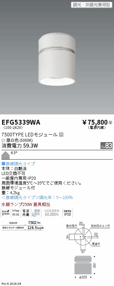 【大特価】　遠藤 EFG5339WA