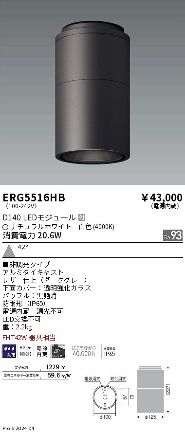 【大特価】　遠藤 ERG5516HB