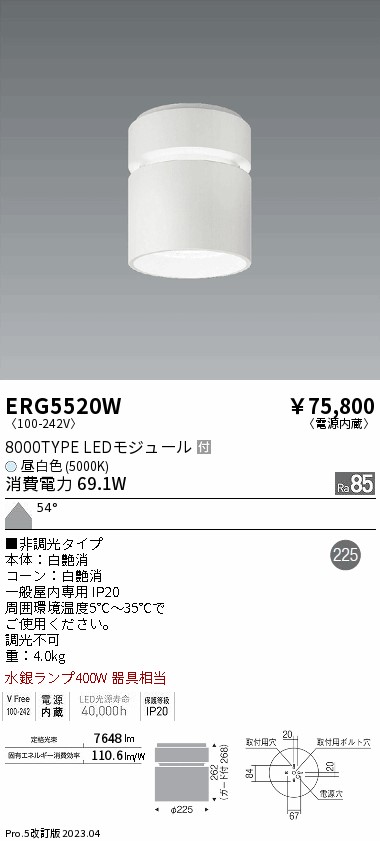 【大特価】　遠藤 ERG5520W