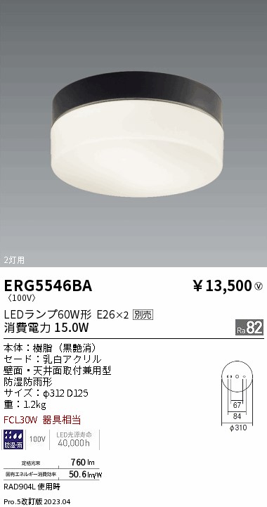 【大特価】 遠藤 ERG5546BA