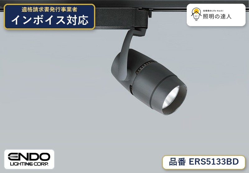 7/19～7/26 お買い物マラソン 最大47.5倍　【大特価】　遠藤 ERS5133BD｜照明の達人