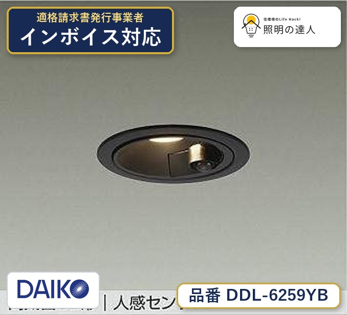 大光電機 DDL-6259YB ダウンライト 電球色 415lm|照明の達人