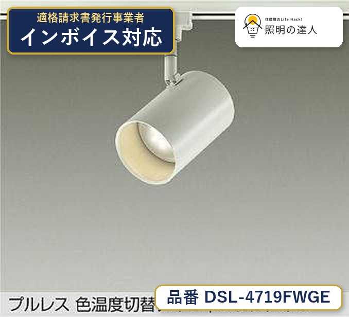 大光電機 DSL-4719FWGE スポットライト 電球色 405lm|照明の達人