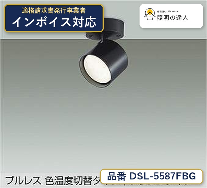 大光電機 DSL-5587FBG スポットライト 電球色 660lm｜照明の達人
