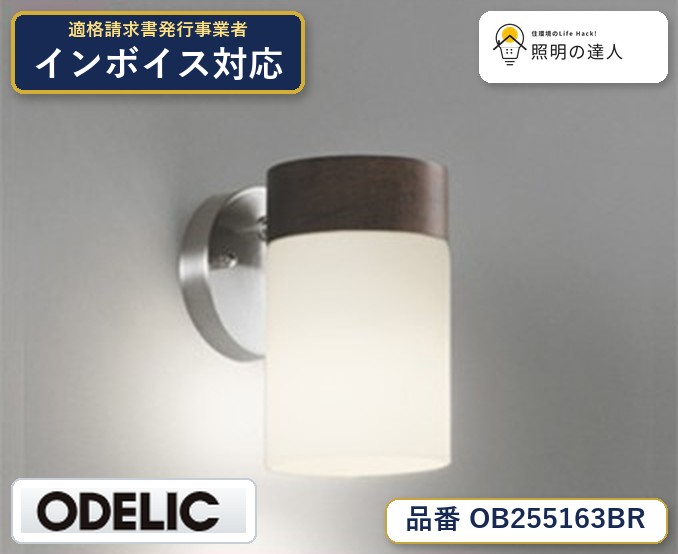 7/19～7/26 お買い物マラソン 最大47.5倍　【大特価】　　 オーデリック ODELIC ブランケットライト OB255163BR｜照明の達人