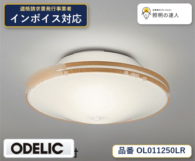 7/19～7/26 お買い物マラソン 最大47.5倍　【大特価】　　 オーデリック ODELIC 小型シーリングライト OL011250LR｜照明の達人