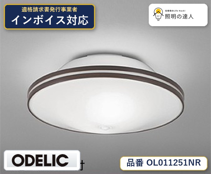 7/19~7/26 お買い物マラソン 最大47.5倍 【大特価】 オーデリック ODELIC 小型シーリングライト OL011251NR|照明の達人