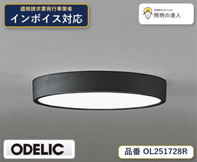 7/19～7/26 お買い物マラソン 最大47.5倍　【大特価】　　 オーデリック ODELIC 小型シーリングライト OL251728R｜照明の達人