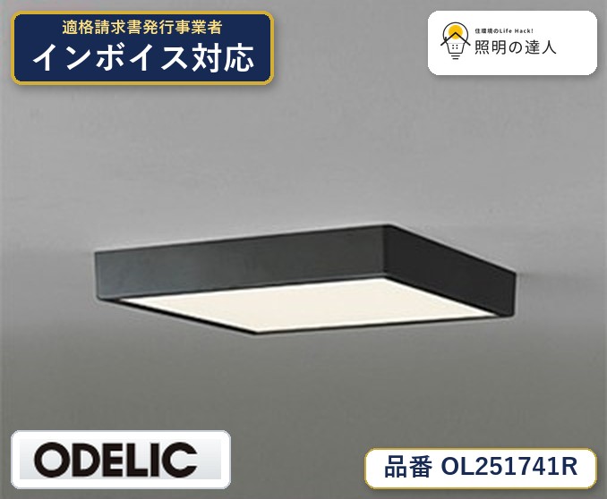 7/19～7/26 お買い物マラソン 最大47.5倍　【大特価】　　 オーデリック ODELIC 小型シーリングライト OL251741R｜照明の達人