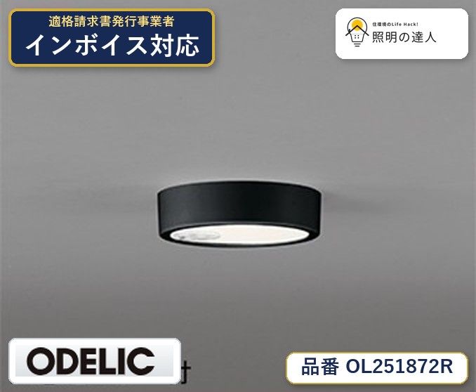 7/19～7/26 お買い物マラソン 最大47.5倍　【大特価】　　 オーデリック ODELIC 小型シーリングライト OL251872R｜照明の達人
