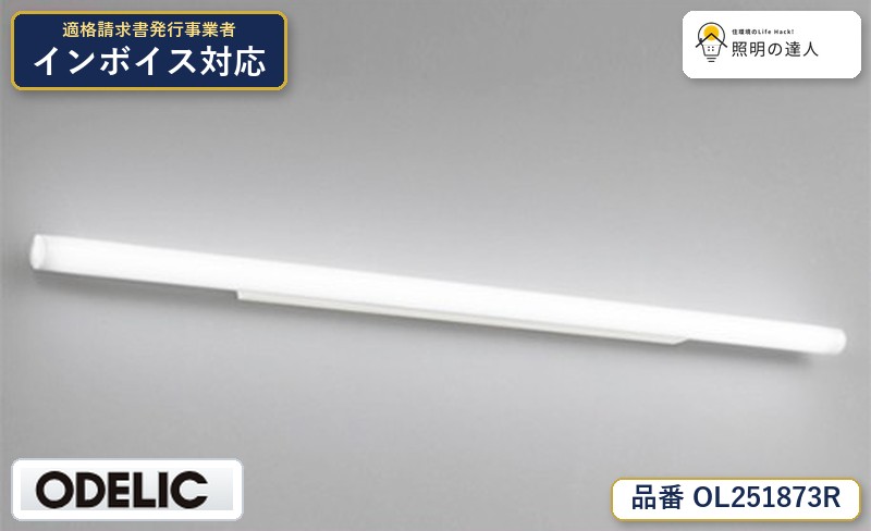 7/19～7/26 お買い物マラソン 最大47.5倍　【大特価】　　 オーデリック ODELIC ブランケットライト OL251873R｜照明の達人
