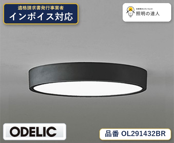 7/19～7/26 お買い物マラソン 最大47.5倍　【大特価】　　 オーデリック ODELIC 小型シーリングライト OL291432BR｜照明の達人