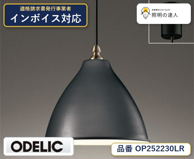 7/19～7/26 お買い物マラソン 最大47.5倍　【大特価】　　 オーデリック ODELIC ペンダントライト OP252230LR｜照明の達人
