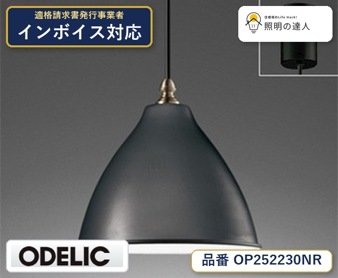 7/19~7/26 お買い物マラソン 最大47.5倍 【大特価】 オーデリック ODELIC ペンダントライト OP252230NR|照明の達人