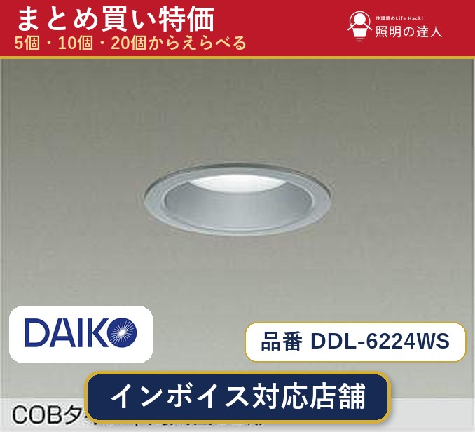 【選べる個数】大光電機 DDL-6224WS ダウンライト 1~30個|照明の達人