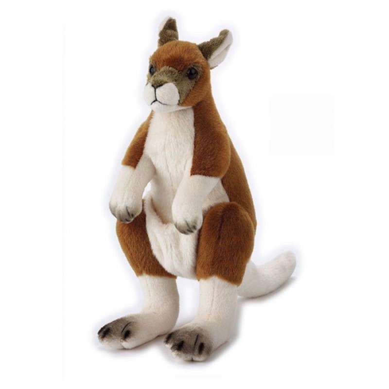 楽天市場】【770703e】 NATIONAL GEOGRAPHIC ナショナルジオ