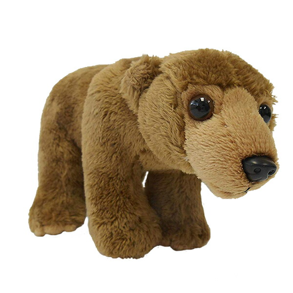 楽天市場】【1日限定P10倍！2000円クーポン】 【770777a】 NATIONAL