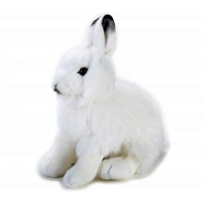 楽天市場】【770736】 NATIONAL GEOGRAPHIC ナショナルジオ